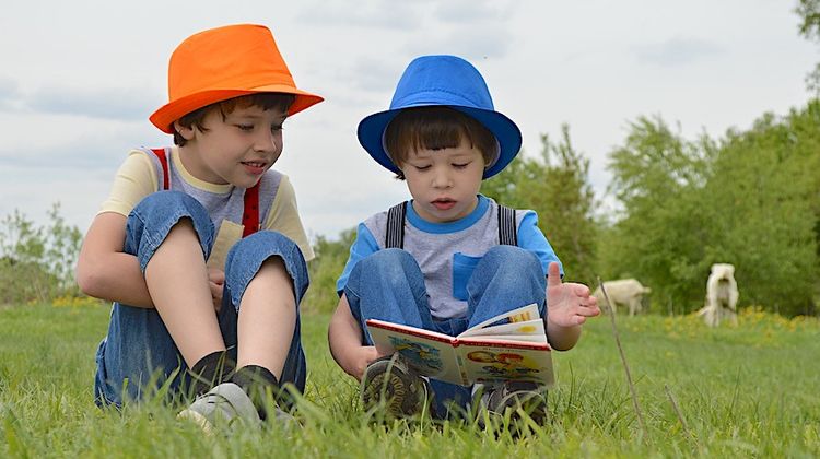 LECTURES BUISSONNIÈRES - Mode vacances pour la médiathèque d’Auch